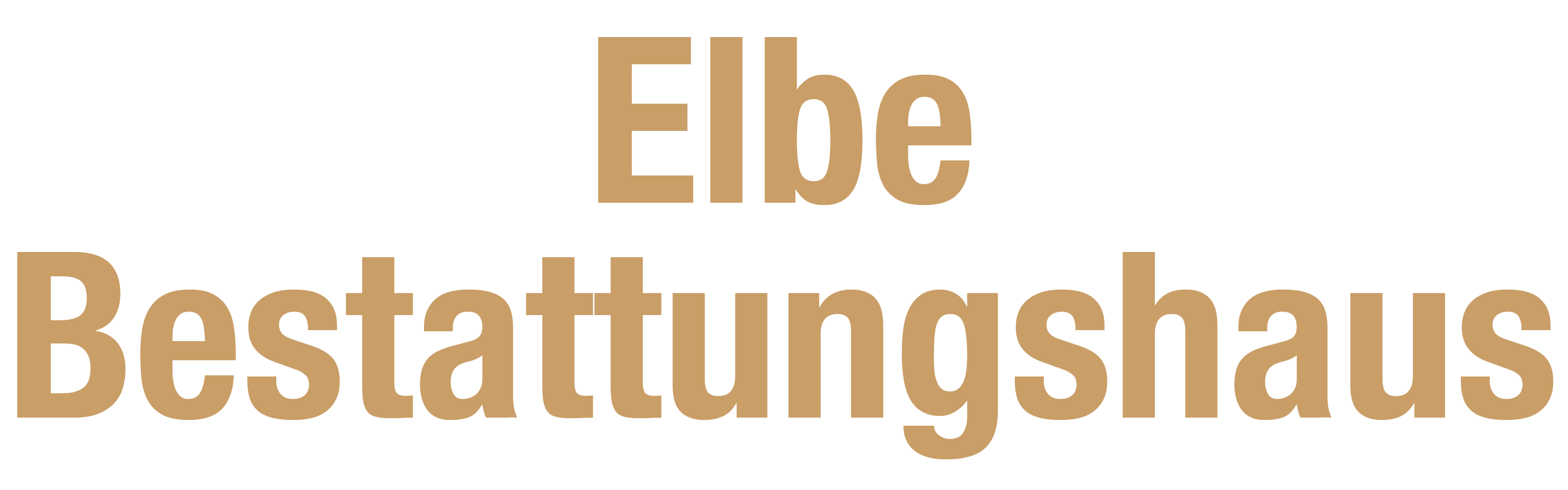 Elbe Logo